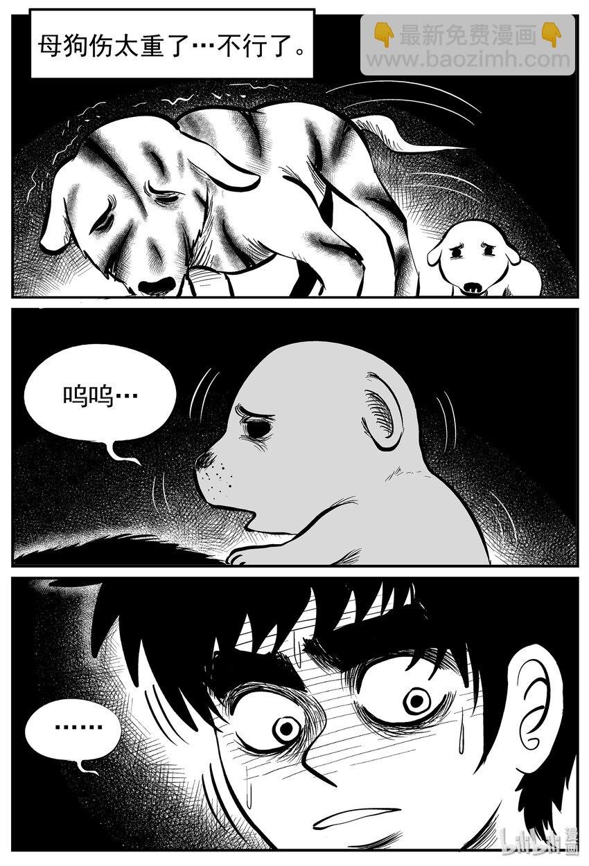 010 它3（2）