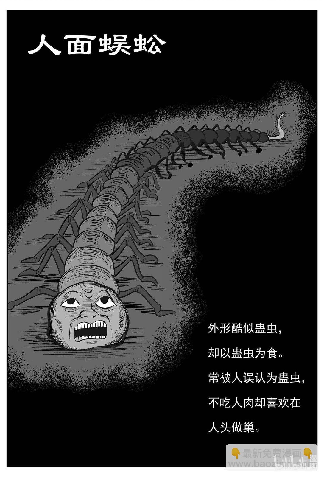 1041 四人不回头