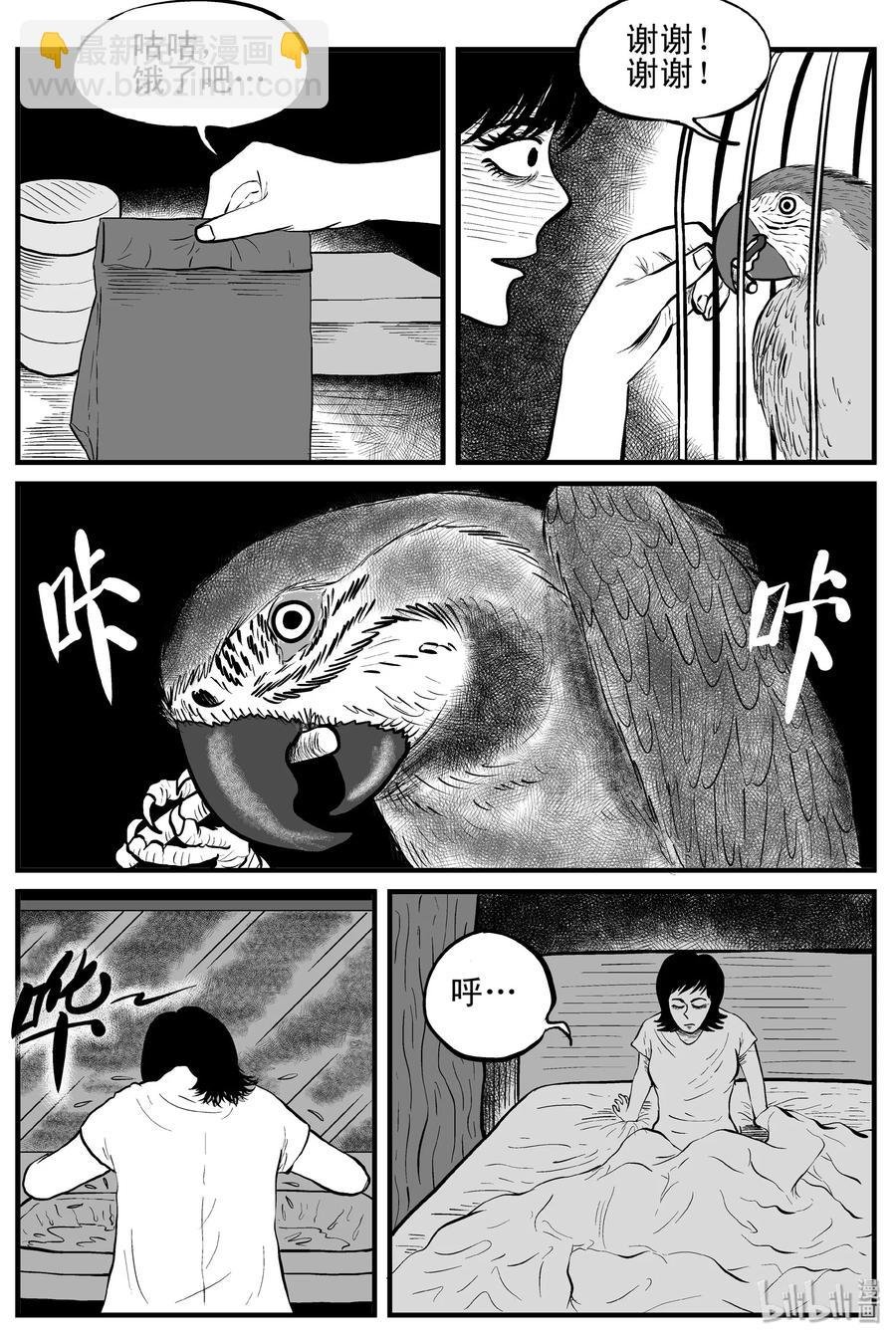 118 鹦鹉+囍