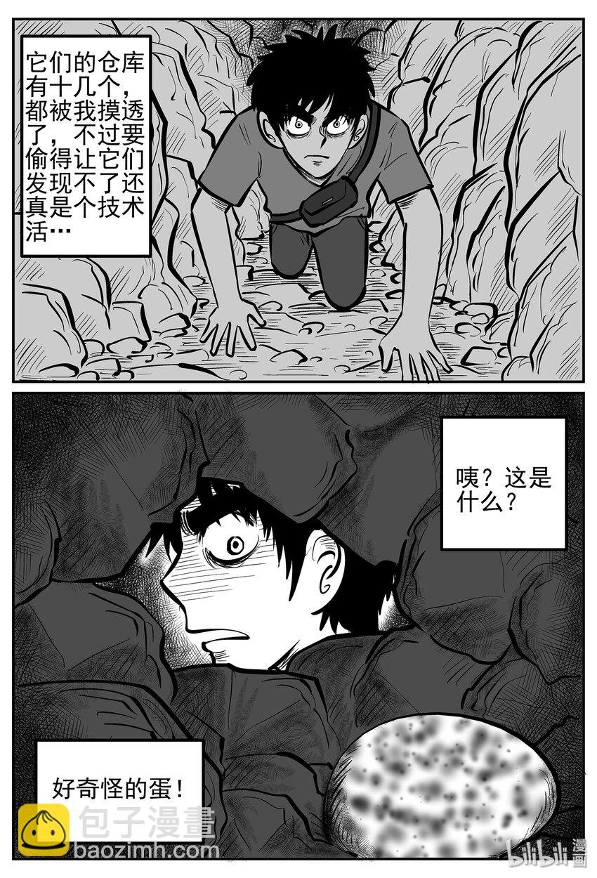 019 它4（3）