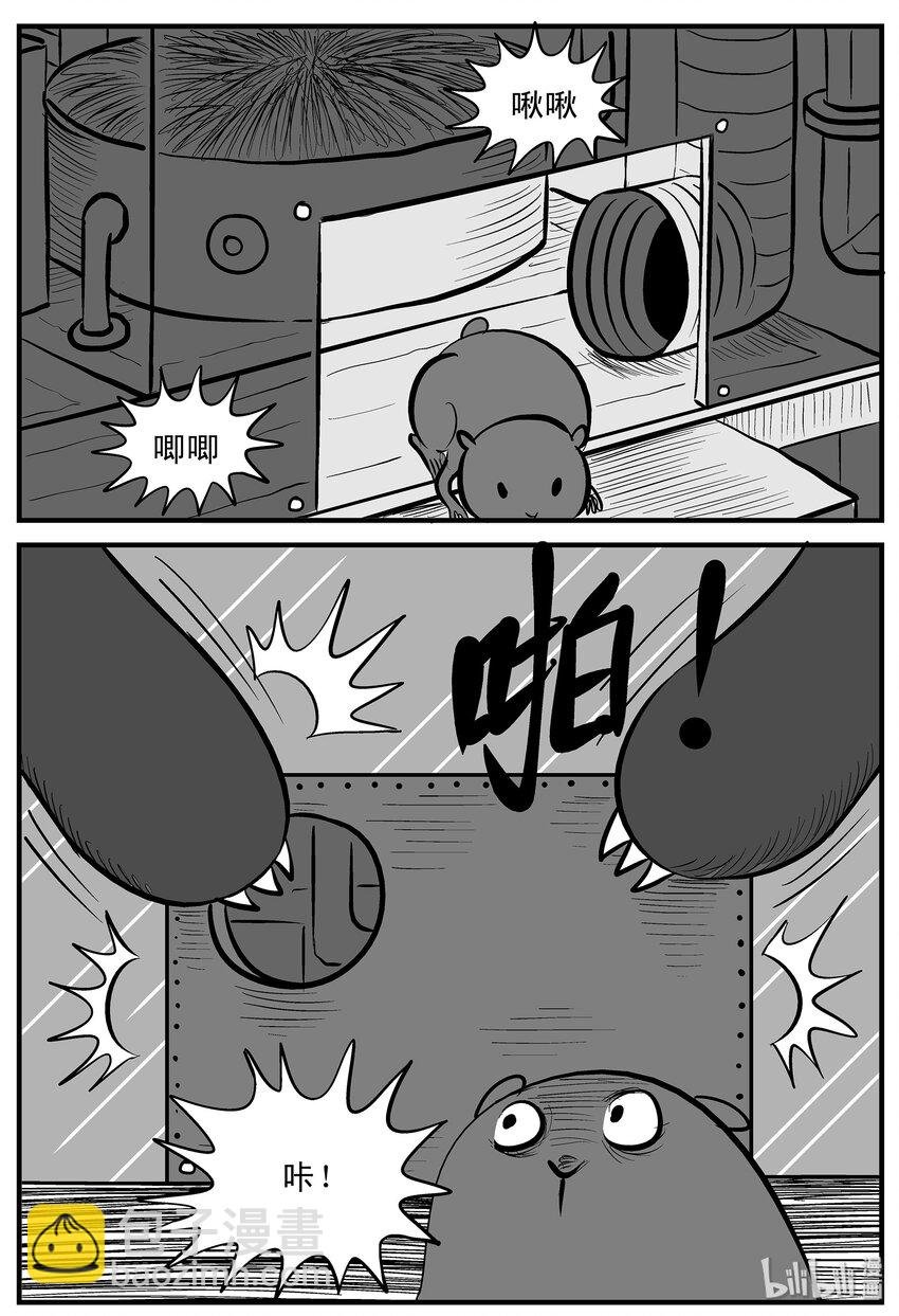 002 它1（2）