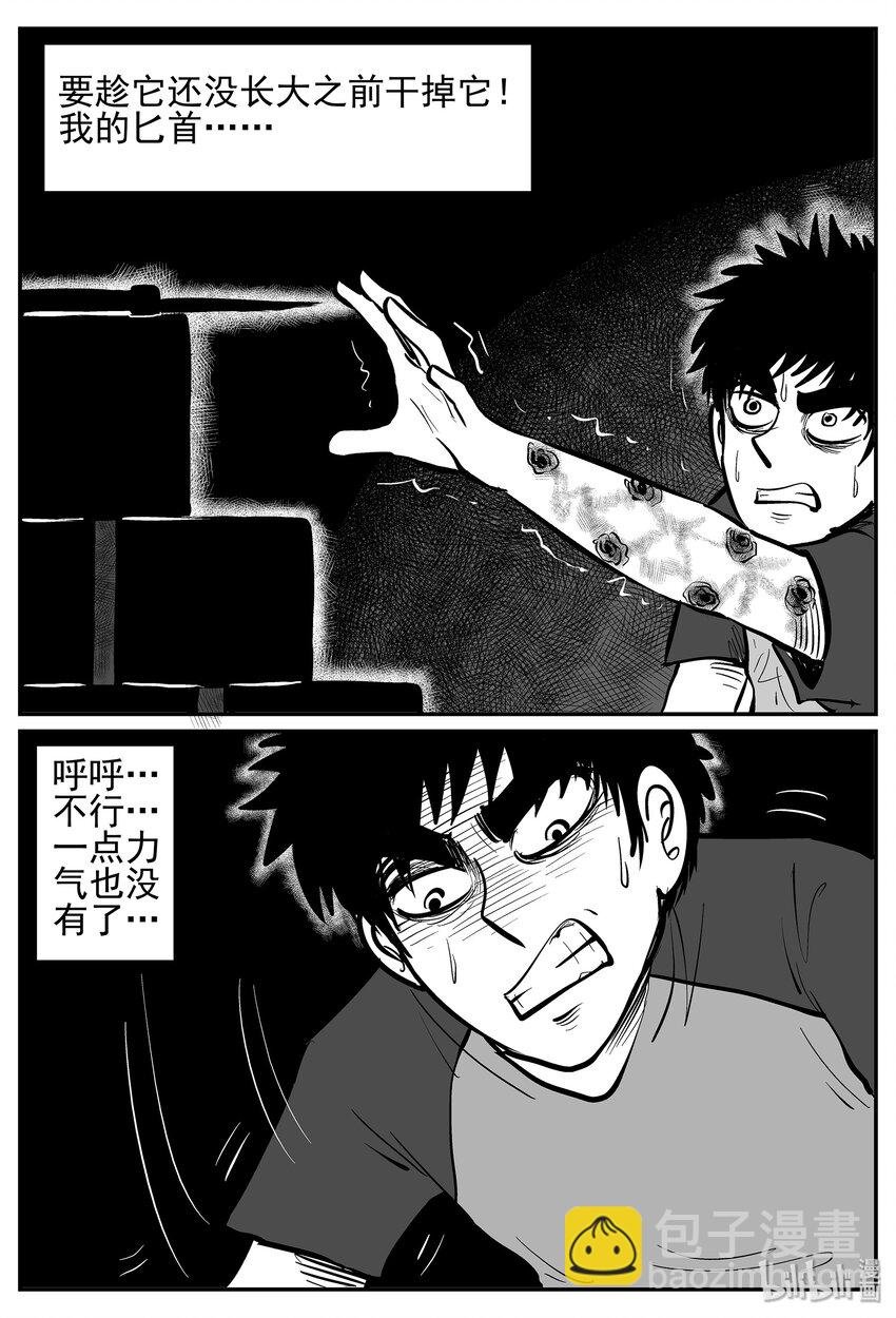 020 它4（4）