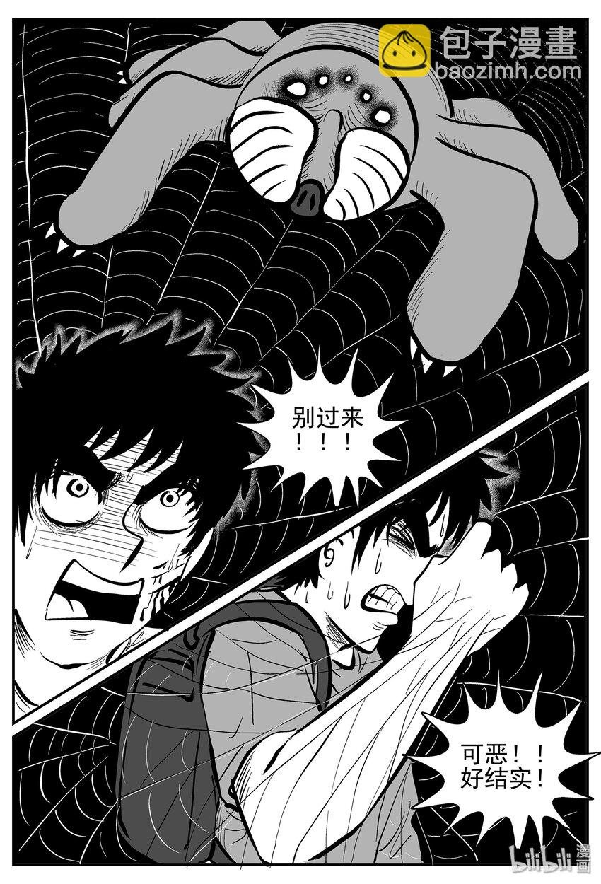 026 它4（10）