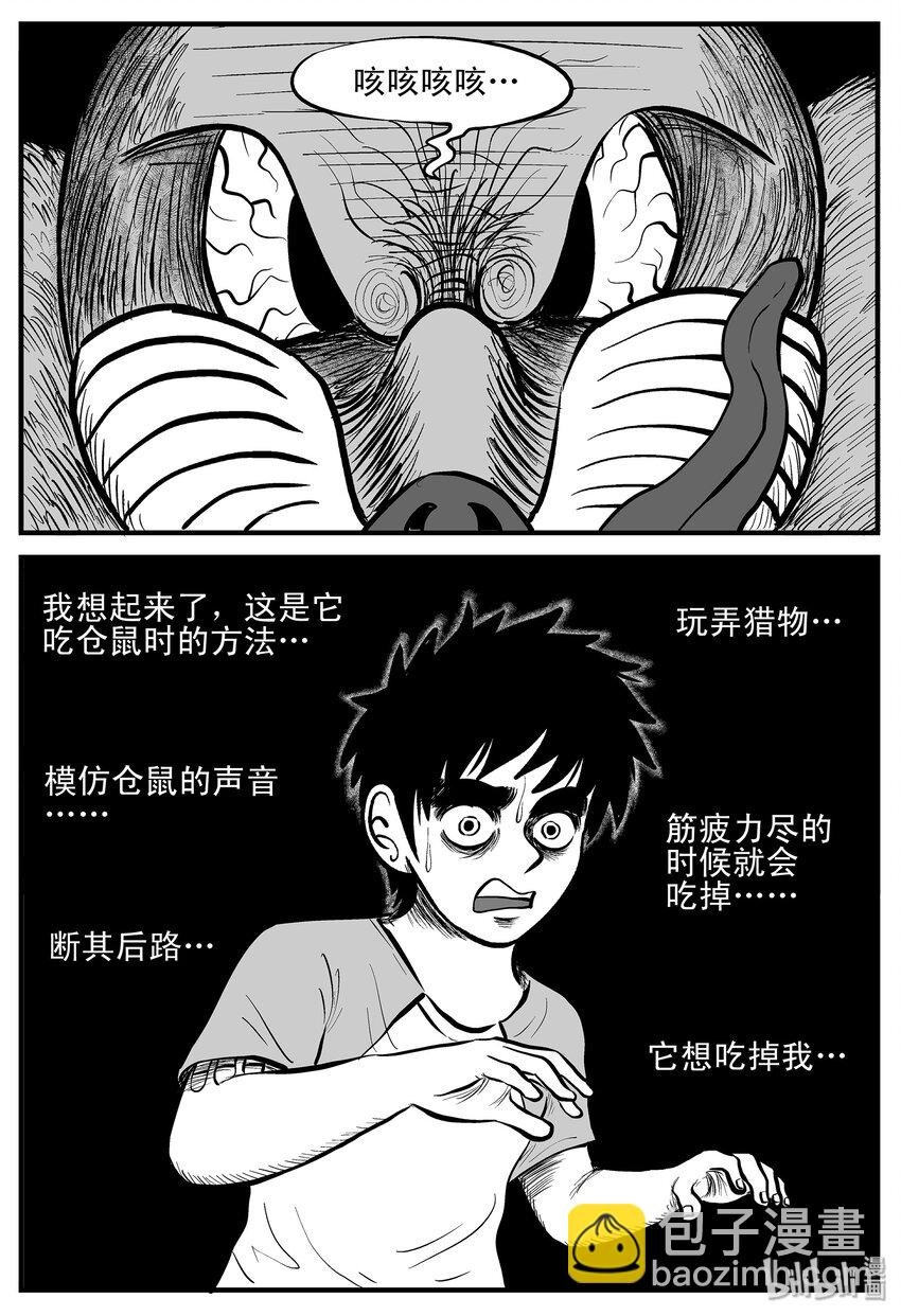 004 它1（4）