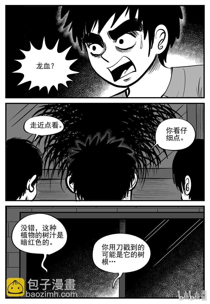 006 它2（2）