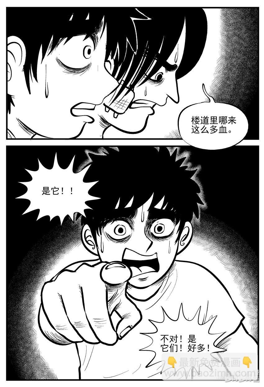 006 它2（2）