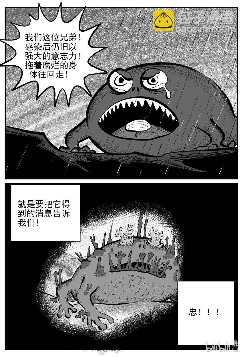 747 它8