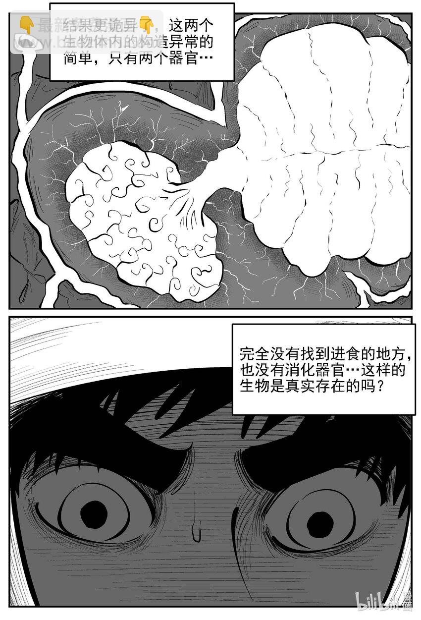980 爱之星