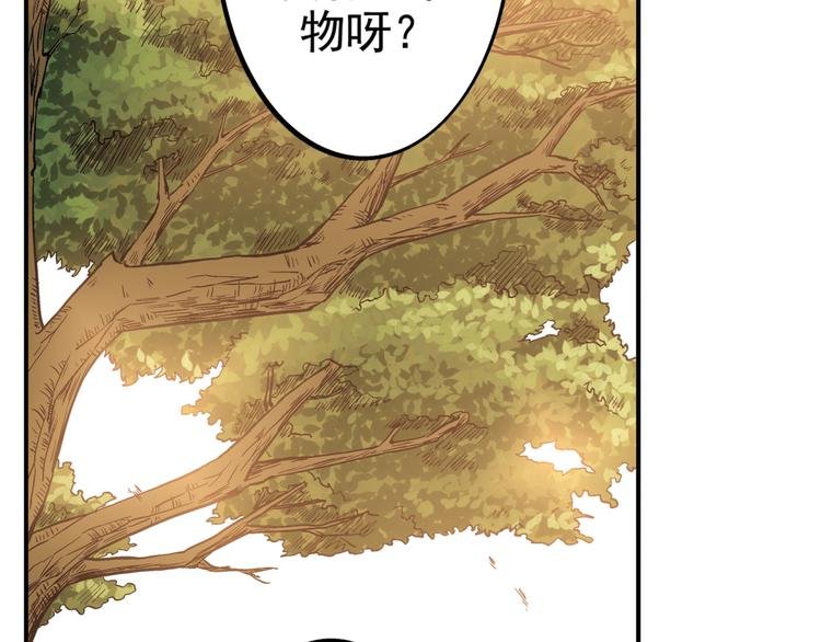 第3话 校考和高考