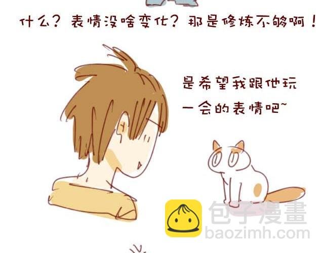 喵的圣意岂是人类可以揣摩的！
