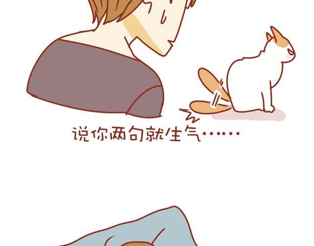 喵的圣意岂是人类可以揣摩的！