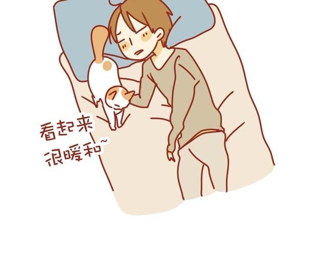 喵的圣意岂是人类可以揣摩的！