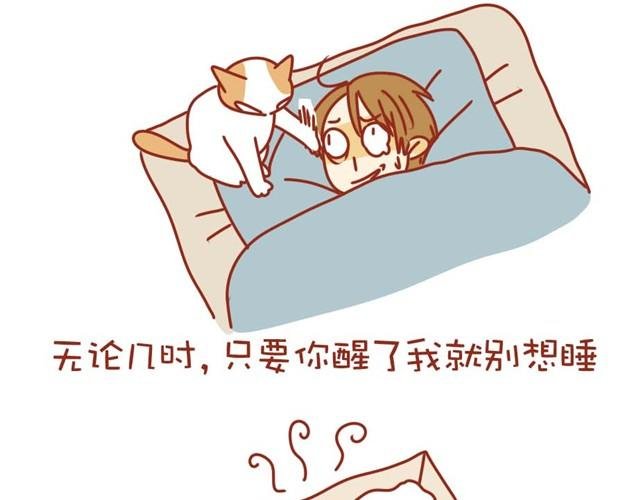 喵的圣意岂是人类可以揣摩的！