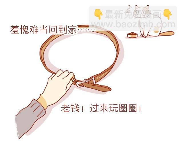 喵不喜欢玩游戏