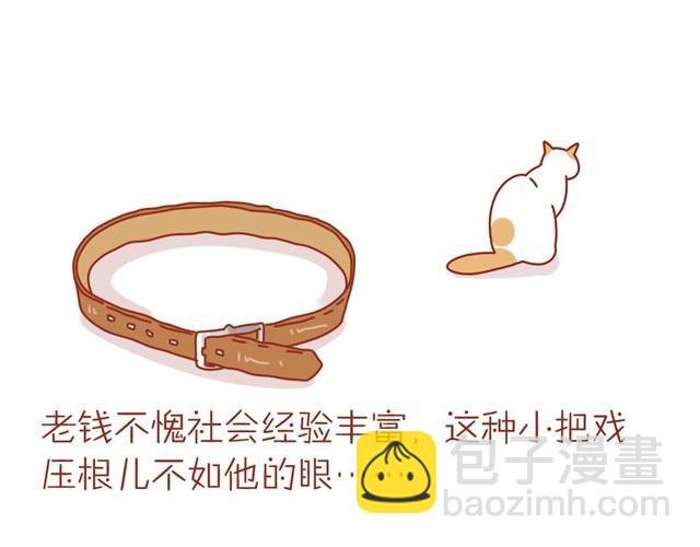 喵不喜欢玩游戏