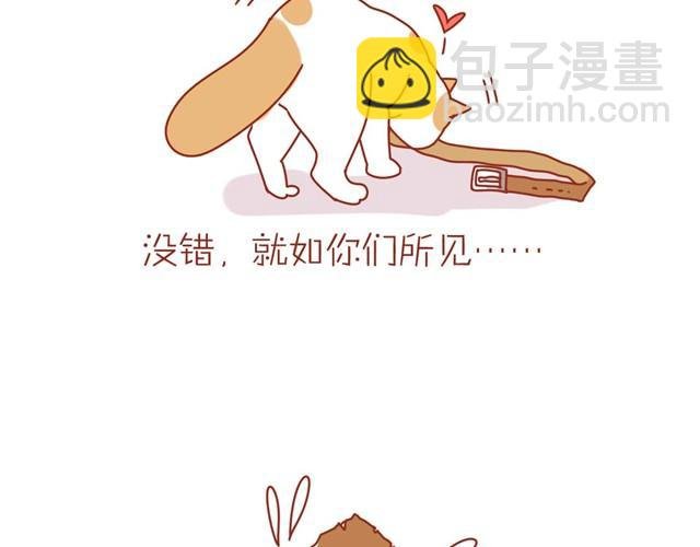 喵不喜欢玩游戏