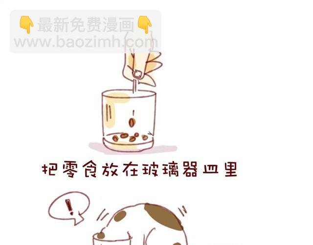 喵不喜欢玩游戏