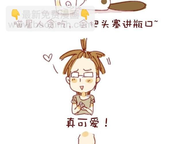 喵不喜欢玩游戏