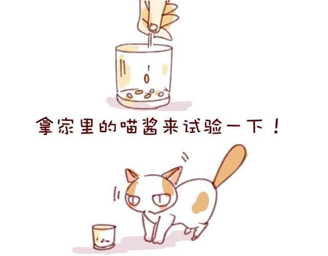喵不喜欢玩游戏