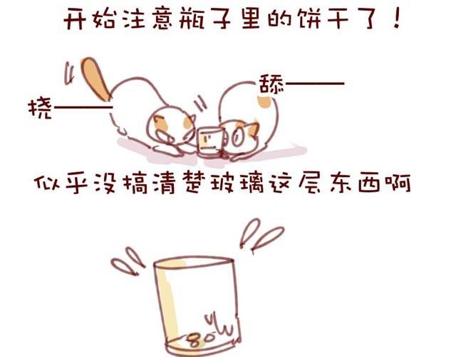 喵不喜欢玩游戏