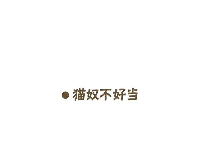 我的日常