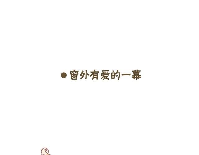 我的日常
