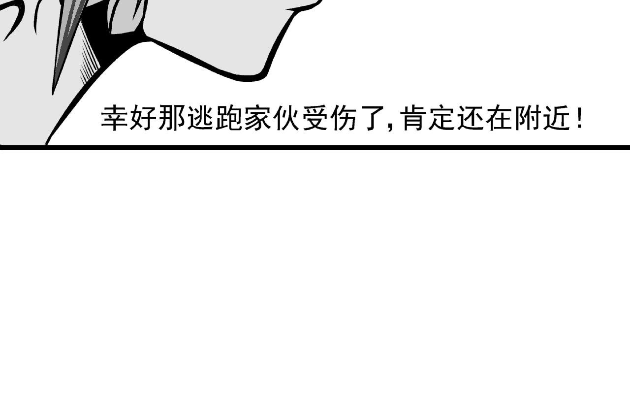 贝塔