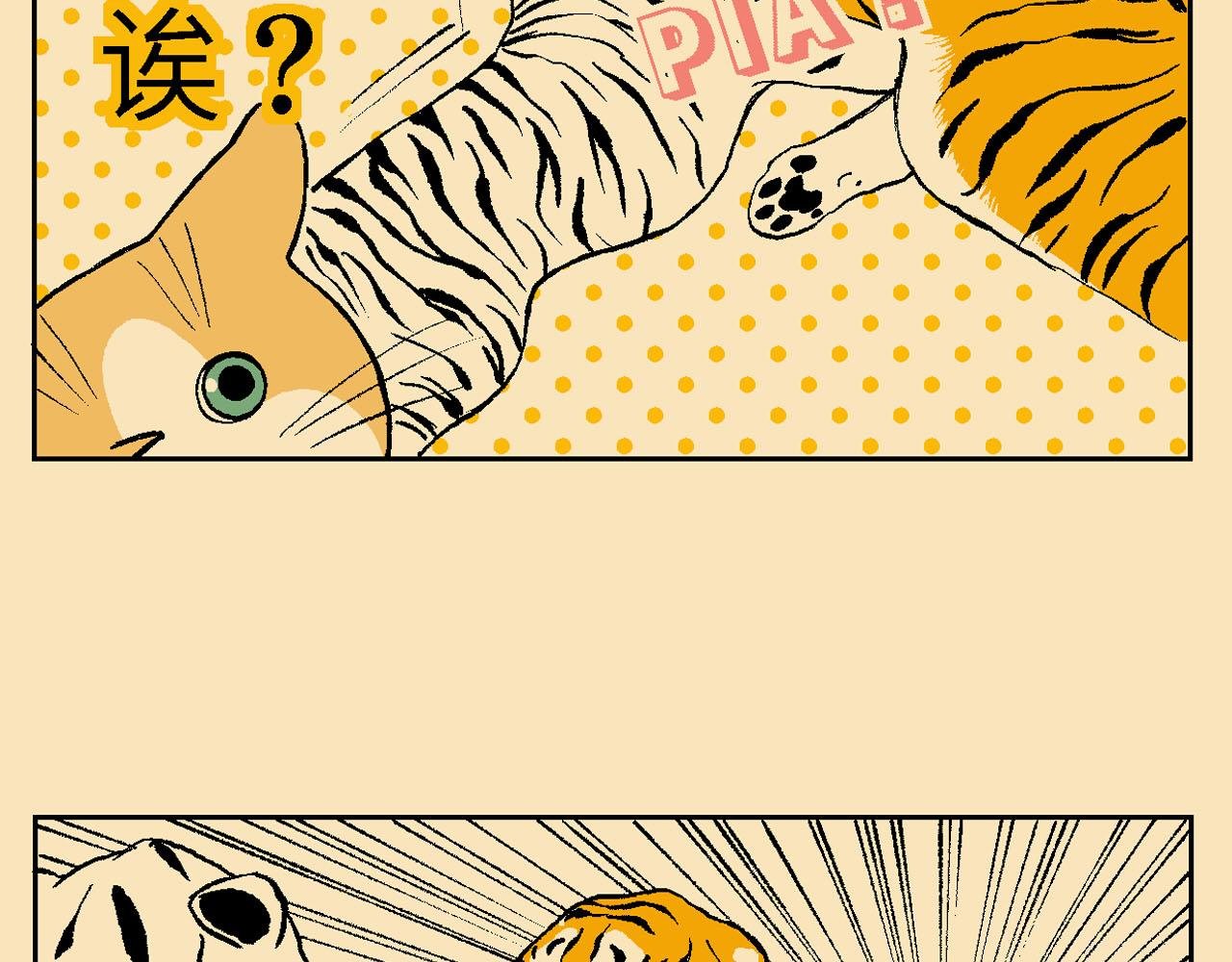 附录03大猫来了！