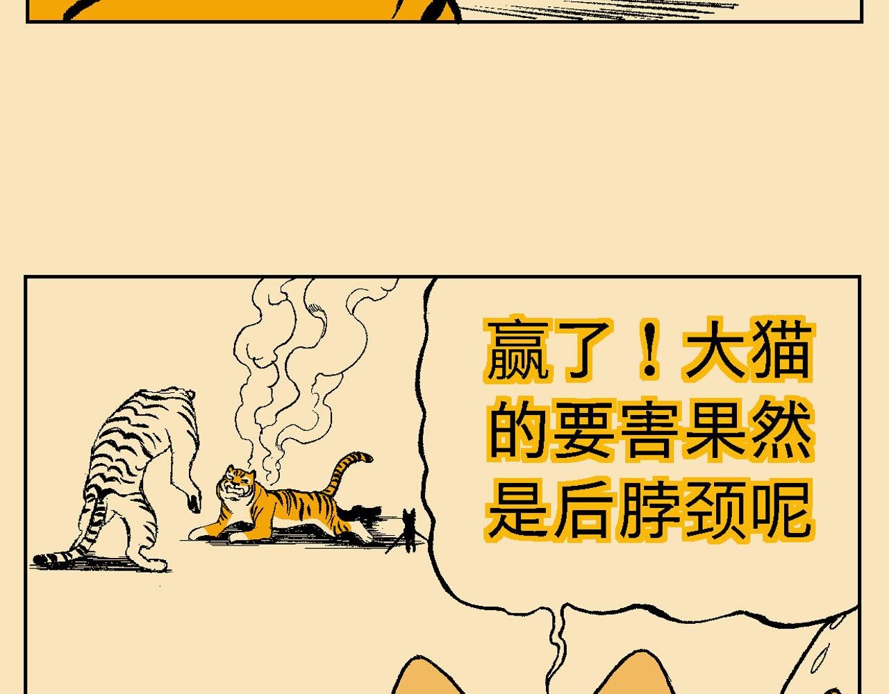 附录03大猫来了！