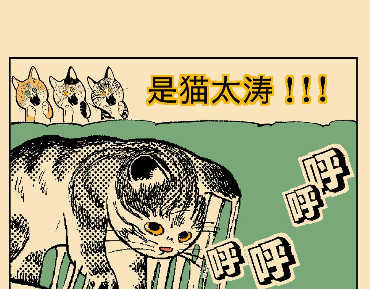 附录03大猫来了！