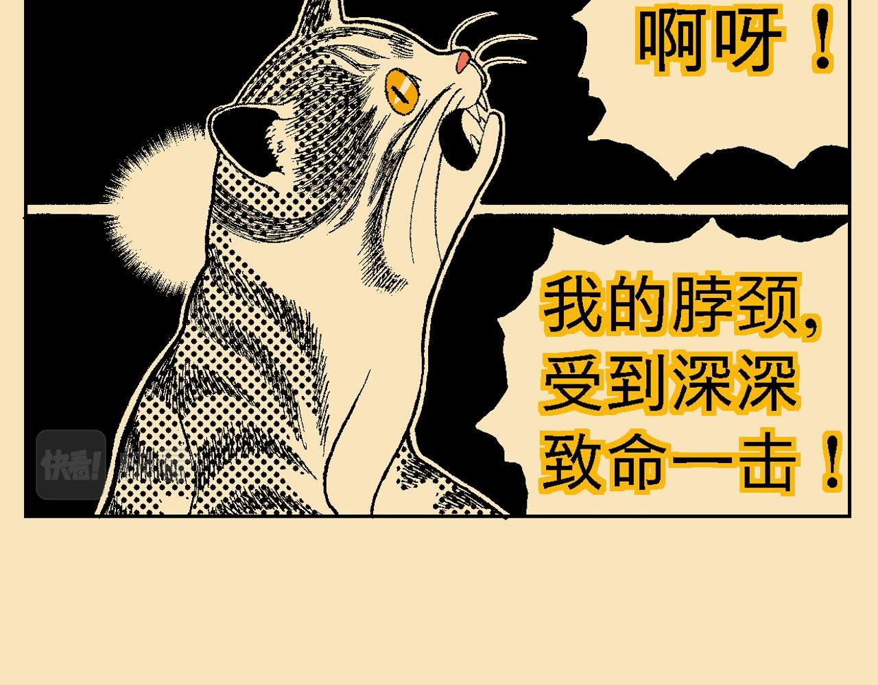 附录03大猫来了！