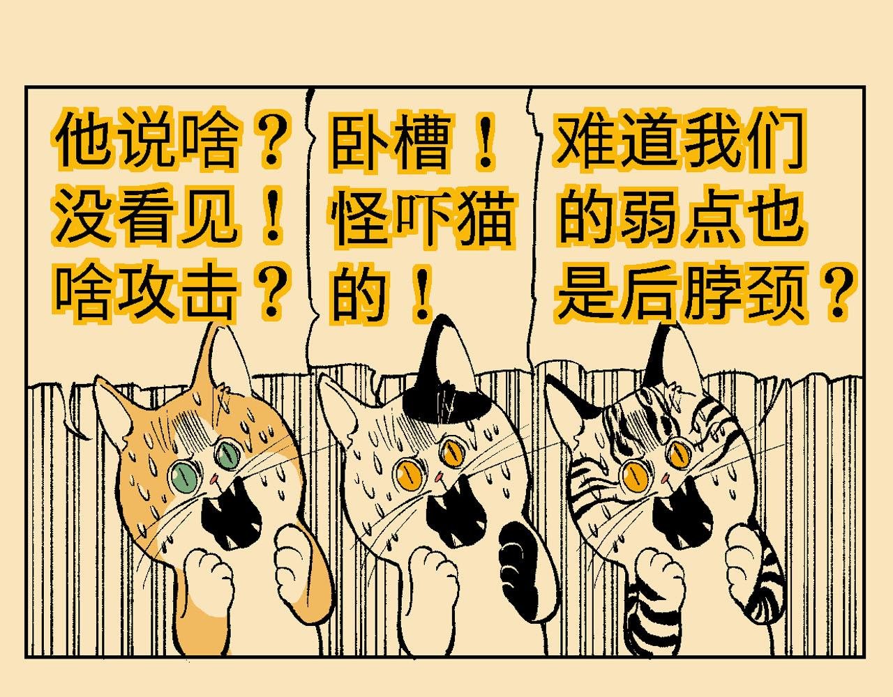 附录03大猫来了！