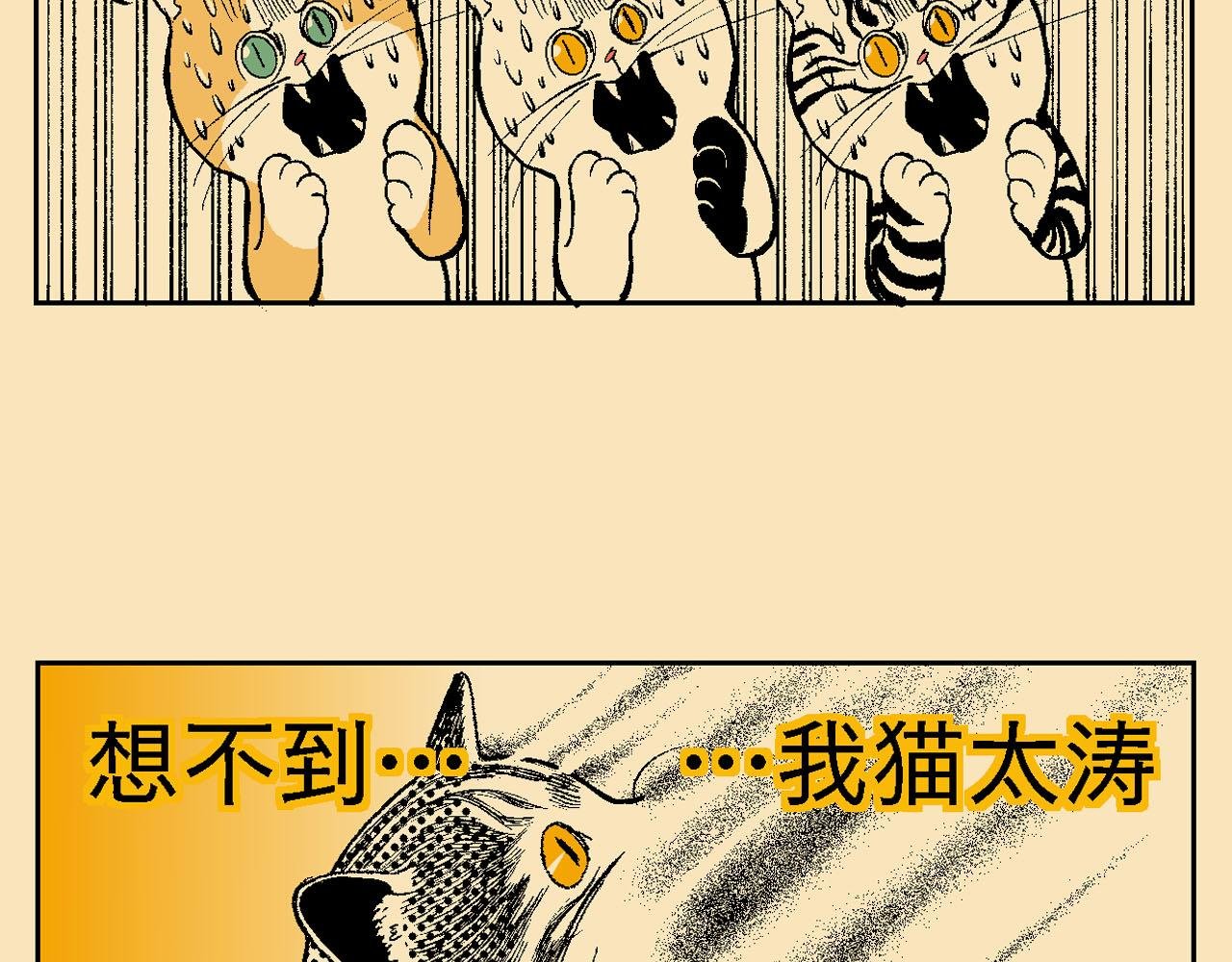 附录03大猫来了！