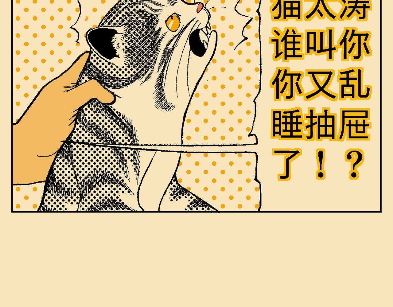 附录03大猫来了！