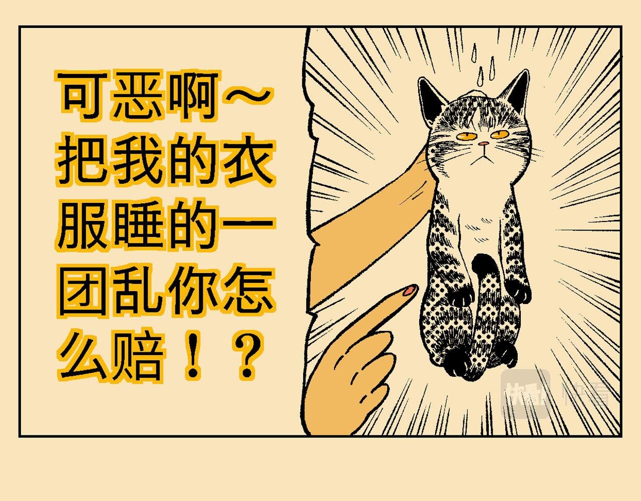 附录03大猫来了！