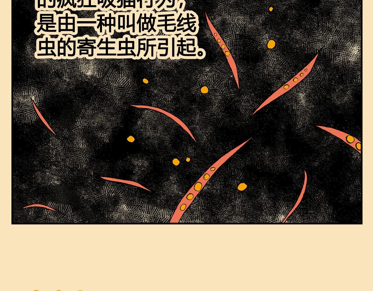04~06