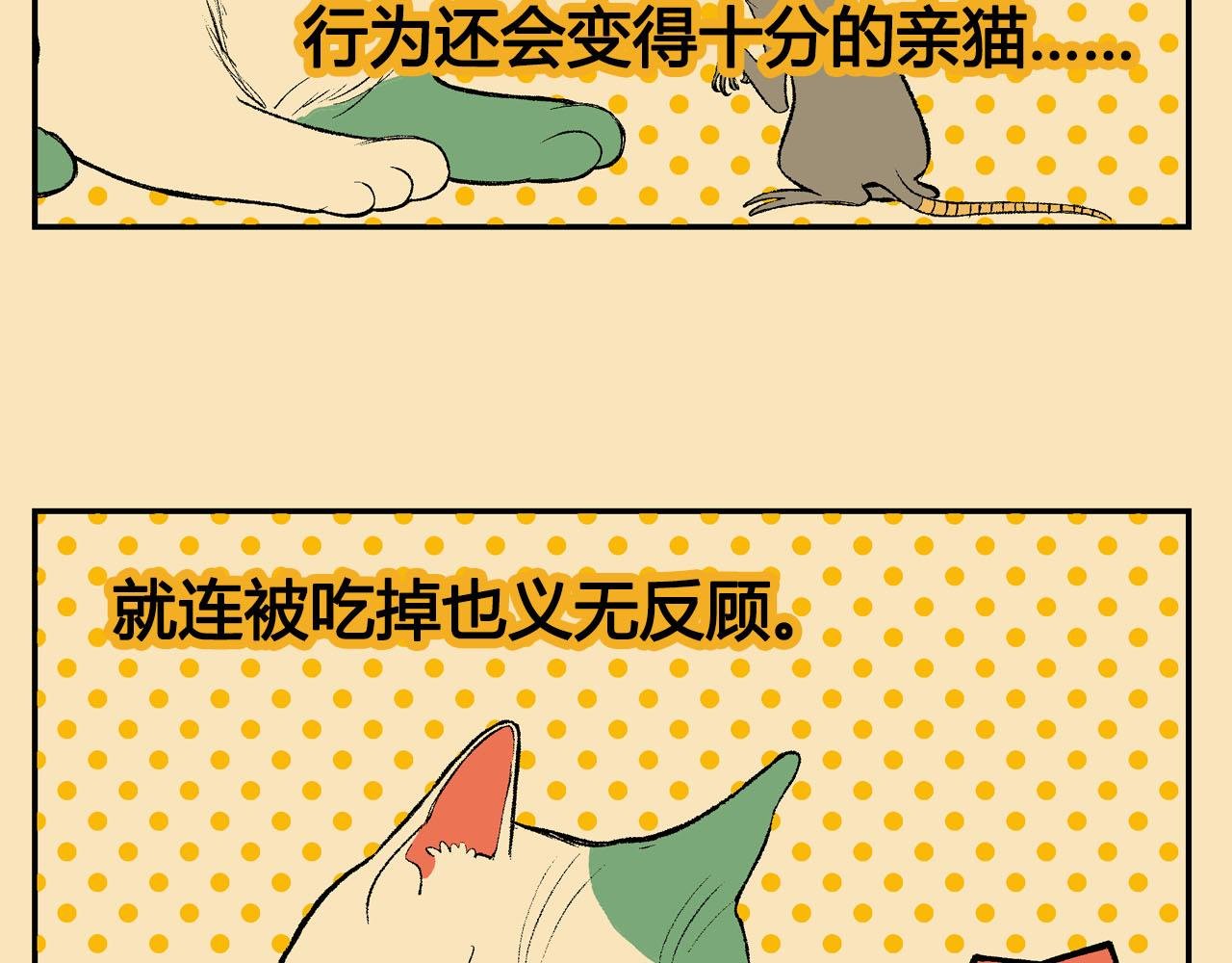 04~06