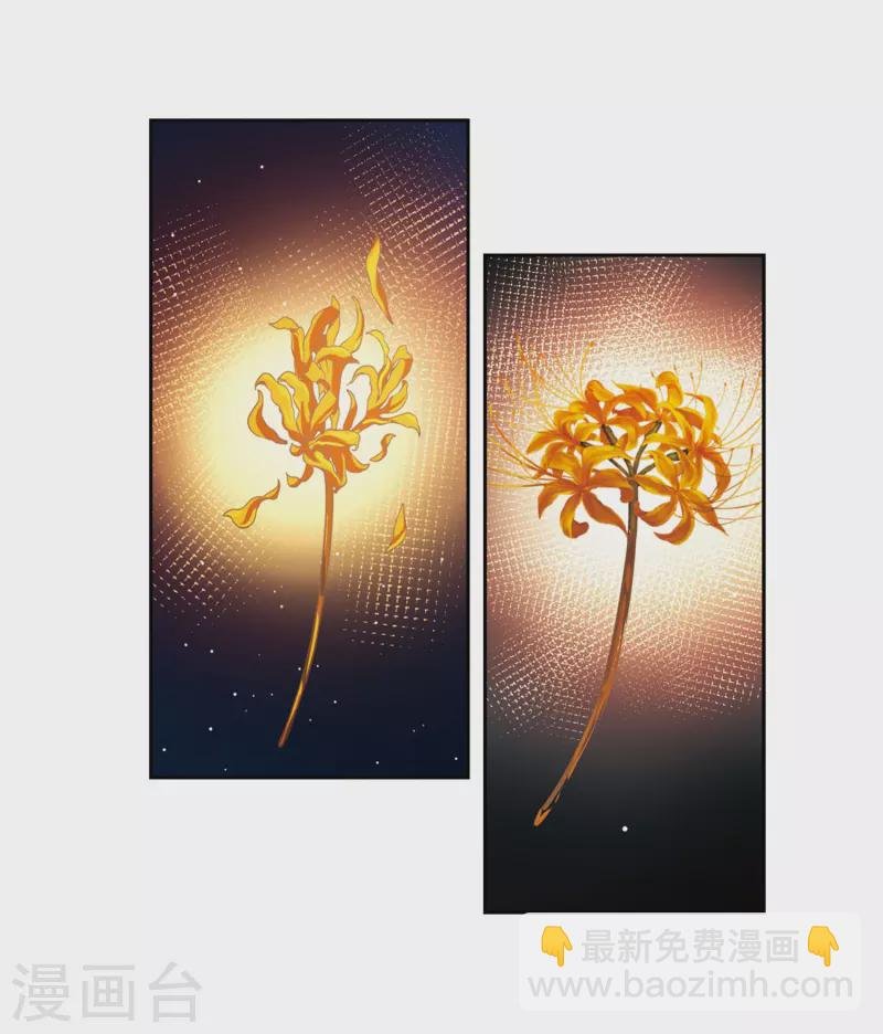 第408话 橘色曼珠沙华2
