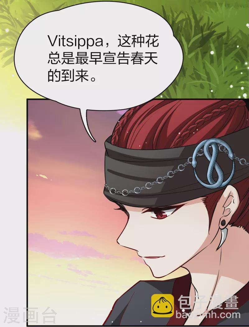 第2季第49话 维卡的秘密4