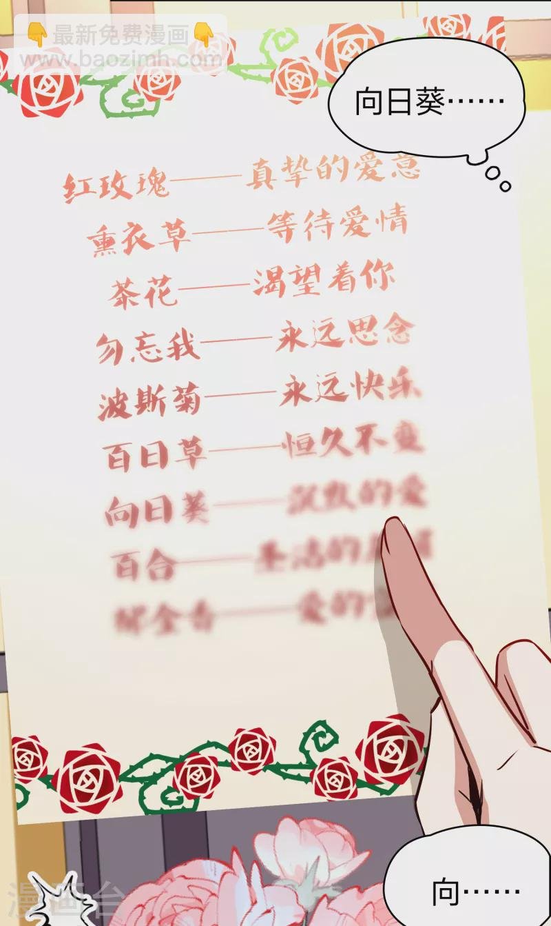 第2季第133话 向日葵花语5