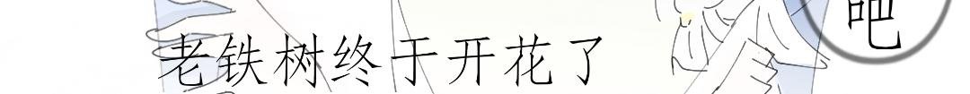 一见钟情?!