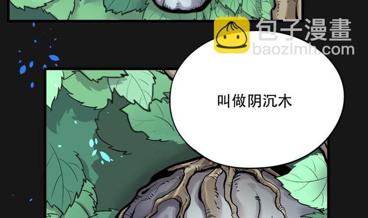 第12话 阴沉木 3