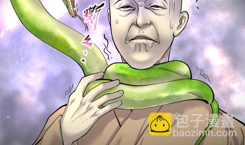 第181话 活眼铜佛 9