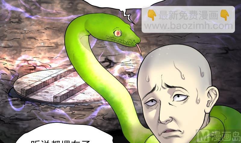 第181话 活眼铜佛 9