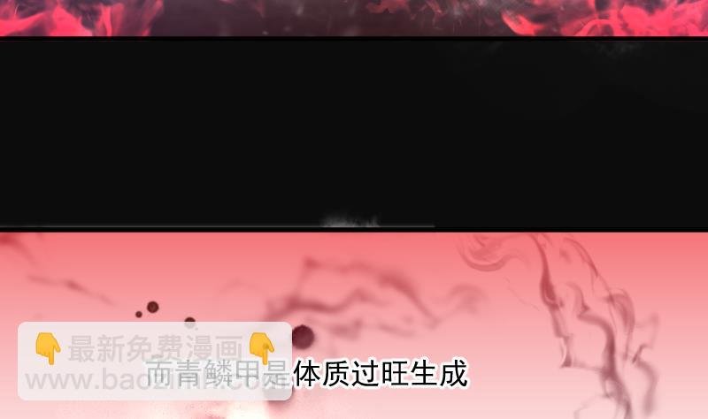 第195话 青鳞甲 3