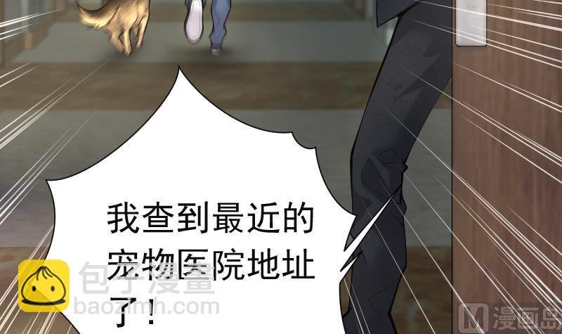 第268话 运尸体的兽医 3