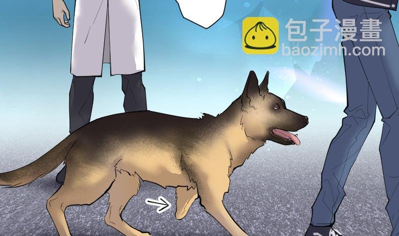 第269话 运尸体的兽医 4