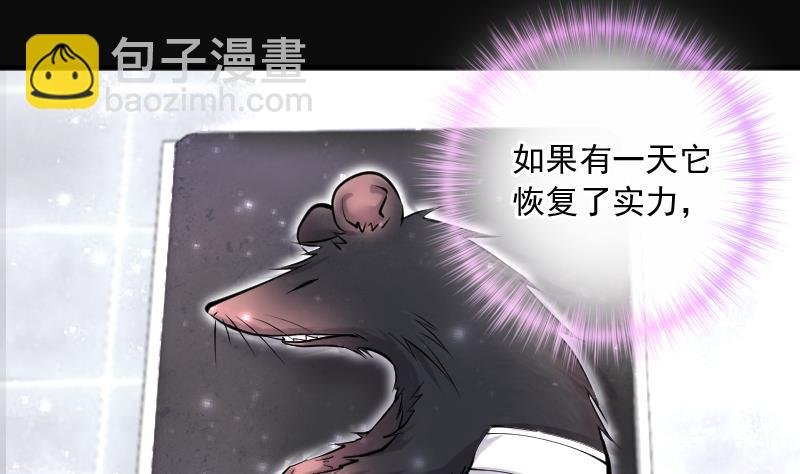 第271话 鼠妖的秘密 1