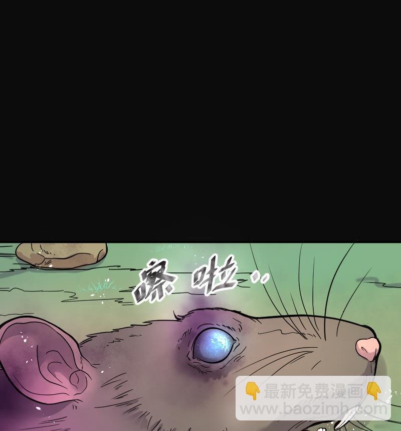 第61话 养阴棺 6