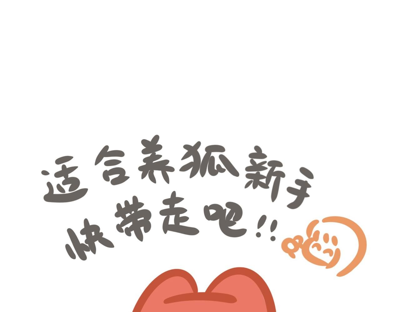 如何养好一只狐狸仔仔